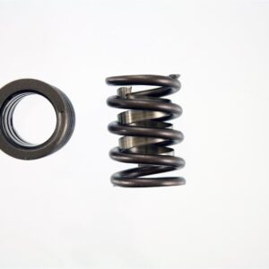 Pioneer – Performance Valve Springs Monster Engine Parts