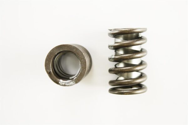 Pioneer – Performance Valve Springs Monster Engine Parts