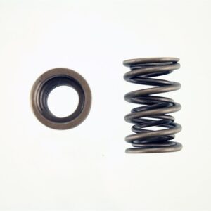 Pioneer - Performance Valve Springs