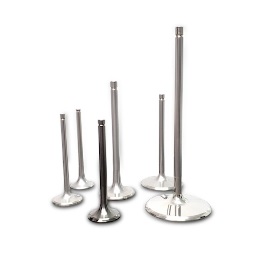 Ferrea - Titanium Competition Series - Intake Valves