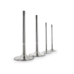 Ferrea – 5000 Series – Intake Valves Monster Engine Parts