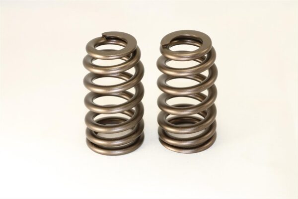 ISKY Racing Cams – B-HIVE Series Valve Springs Monster Engine Parts