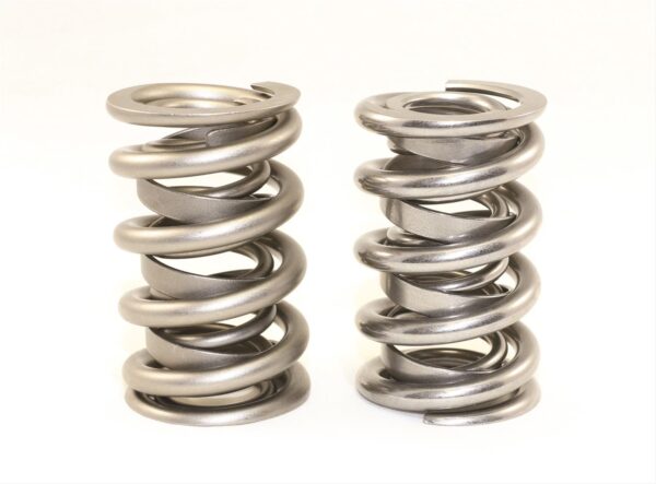 ISKY Racing Cams – MAX-LIFE Super Endurance Series Valve Springs Monster Engine Parts