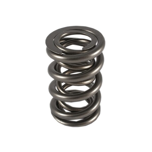 PAC Racing Springs – 1200 Series Valve Springs Monster Engine Parts