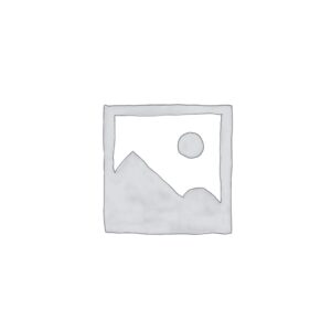 Mahle Motorsports – PowerPak Piston Kit Monster Engine Parts