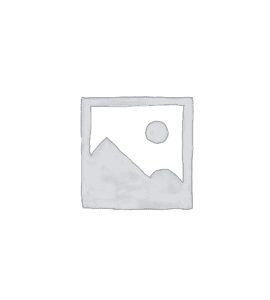 Mahle Motorsports – PowerPak Piston Kit Monster Engine Parts